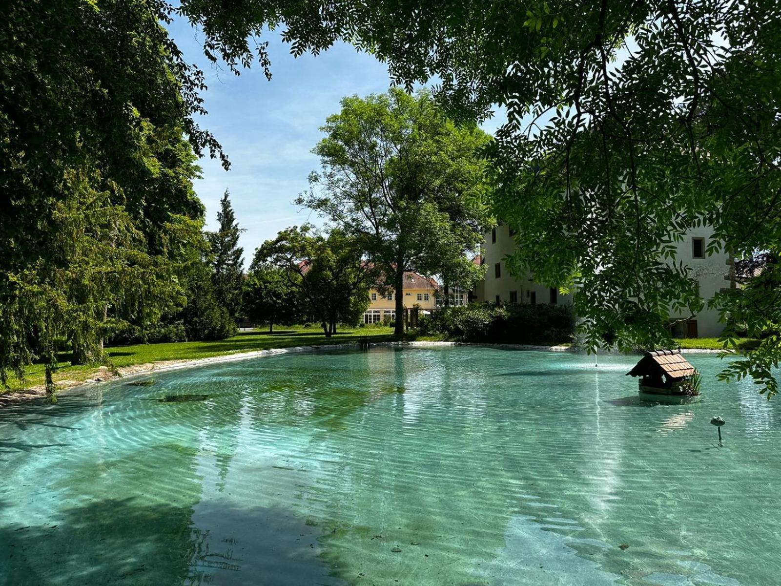 Schloss Neckarbischofsheim Ngoại thất bức ảnh